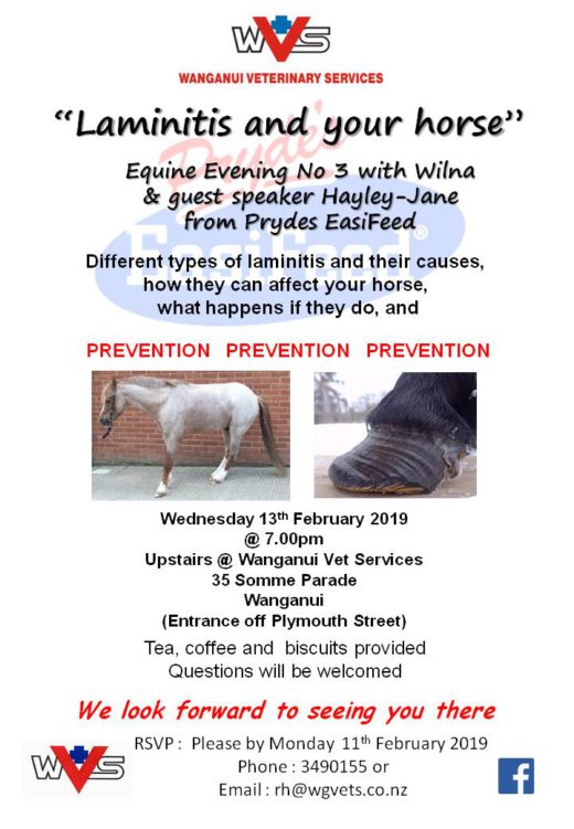 Laminitis and Your Horse Equine Evening Wanganui Veterinary Services